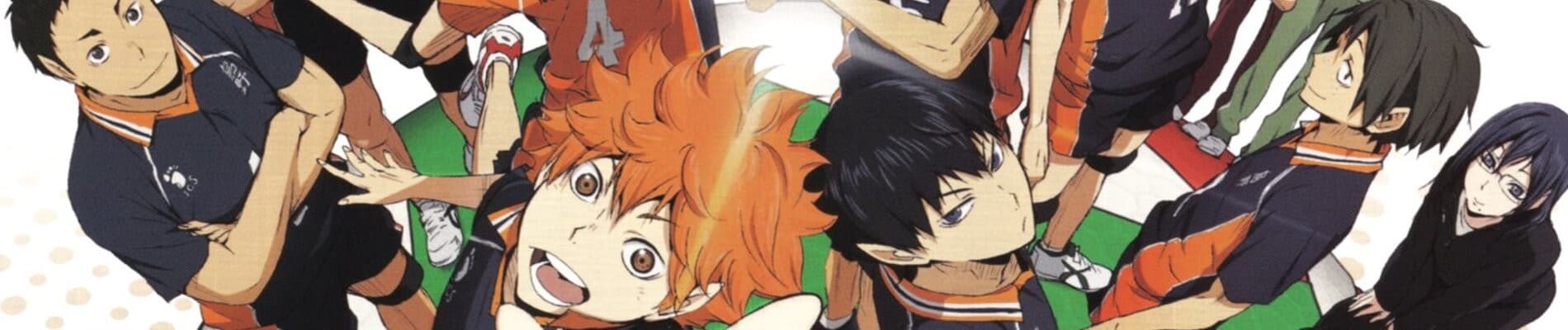 Backdrop for HAIKYU!!