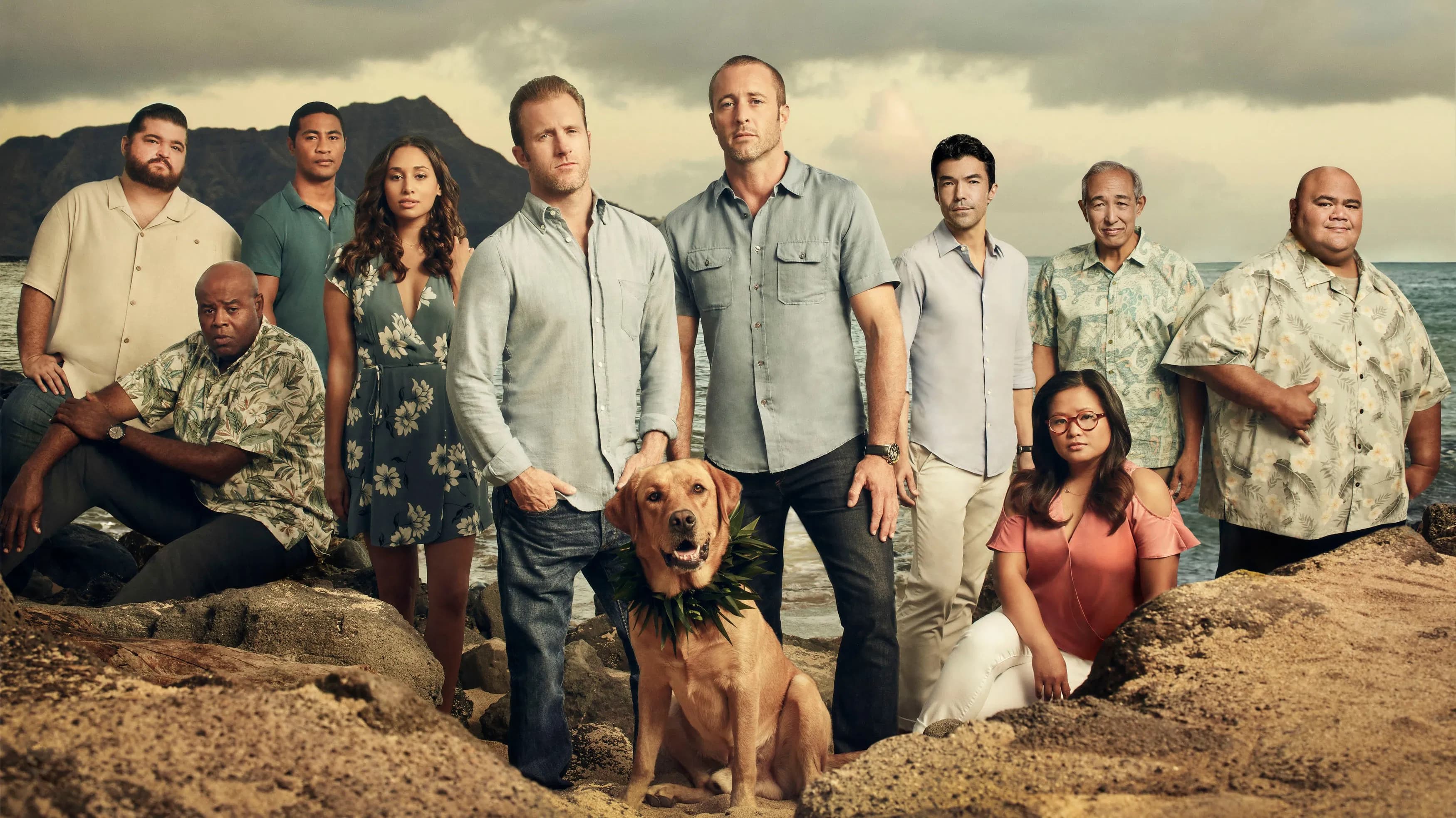 Backdrop for Hawaii Five-0