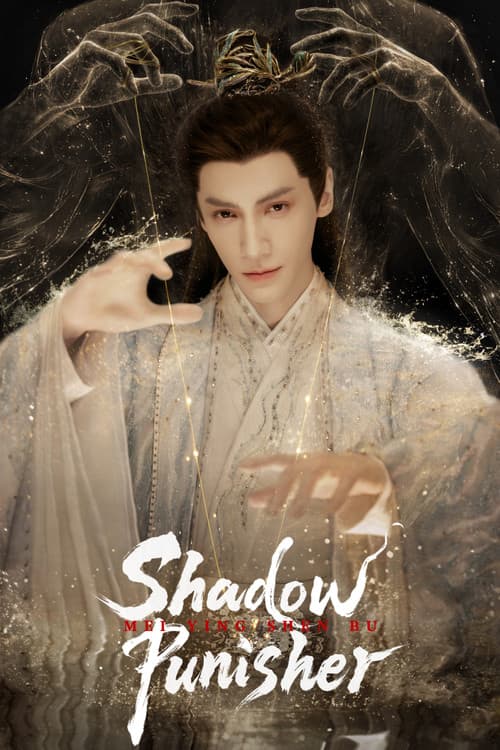 Shadow Punisher poster